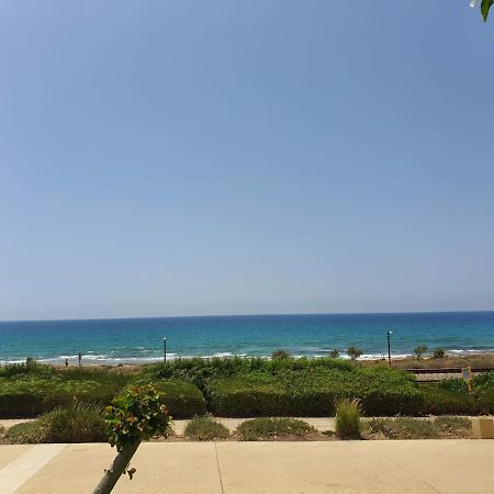 German Colony Guest House- Private And Dorm Rooms Haifa Luaran gambar