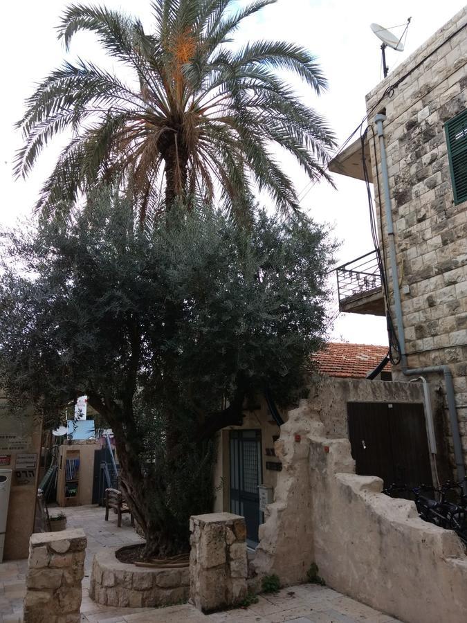 German Colony Guest House- Private And Dorm Rooms Haifa Luaran gambar